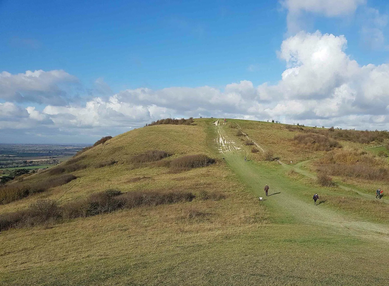 A chalk path leading up a grassy hill towards Ivinghoe Beacon
